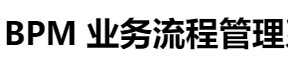 BPM业务流程管理
